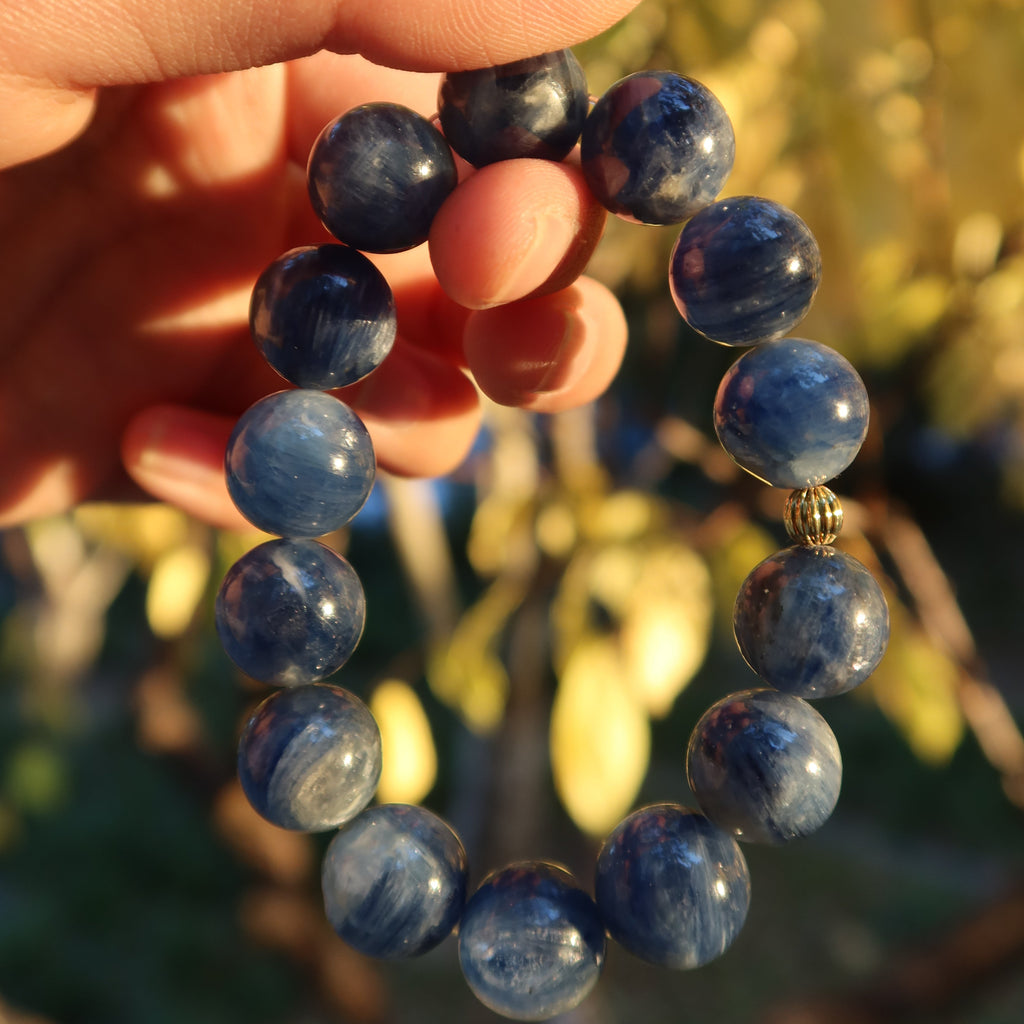 Blue Muse（ブルー・ミューズ）｜ブルーマイカ