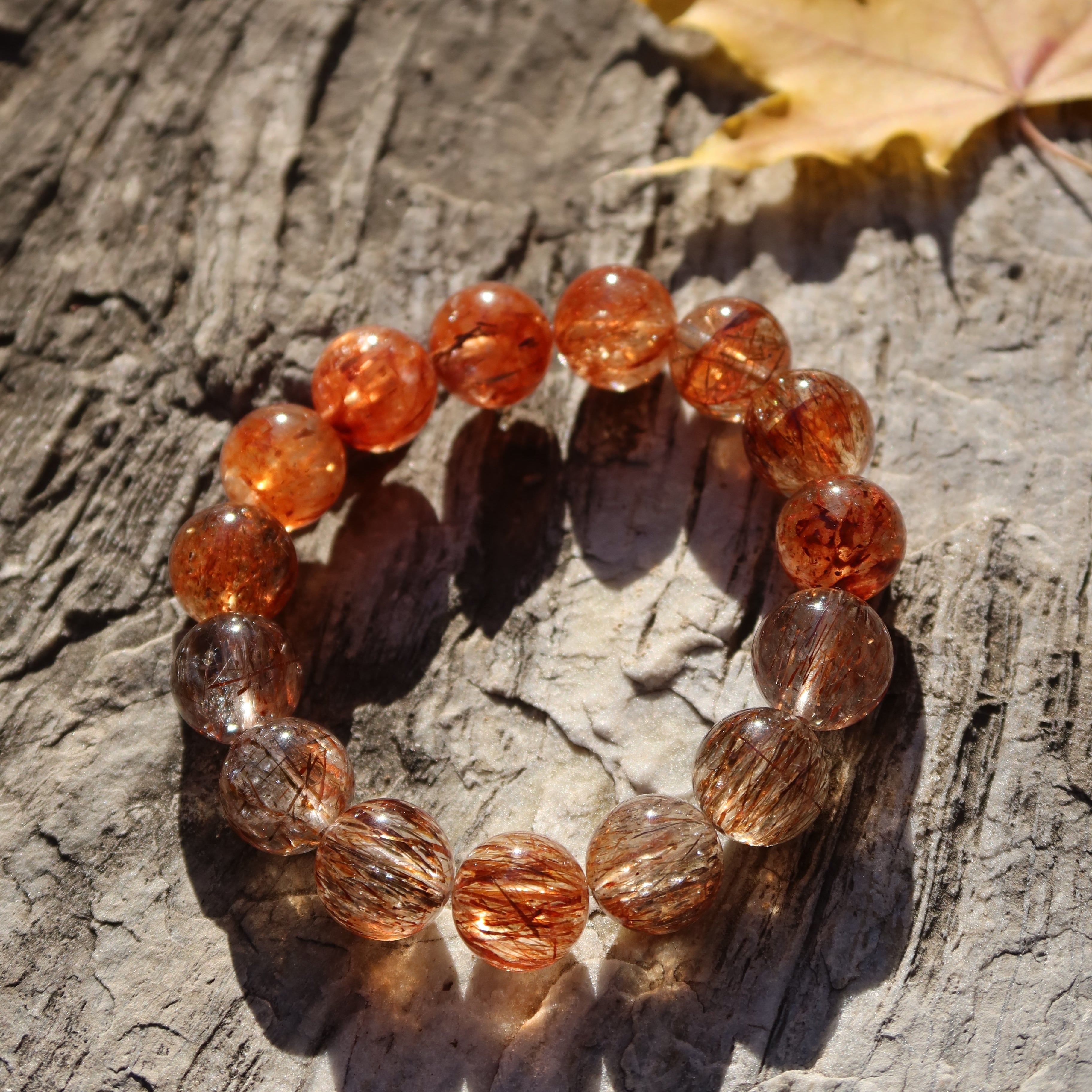 Stellar Root（ステラル・ルート）｜ブラックスーパーセブン